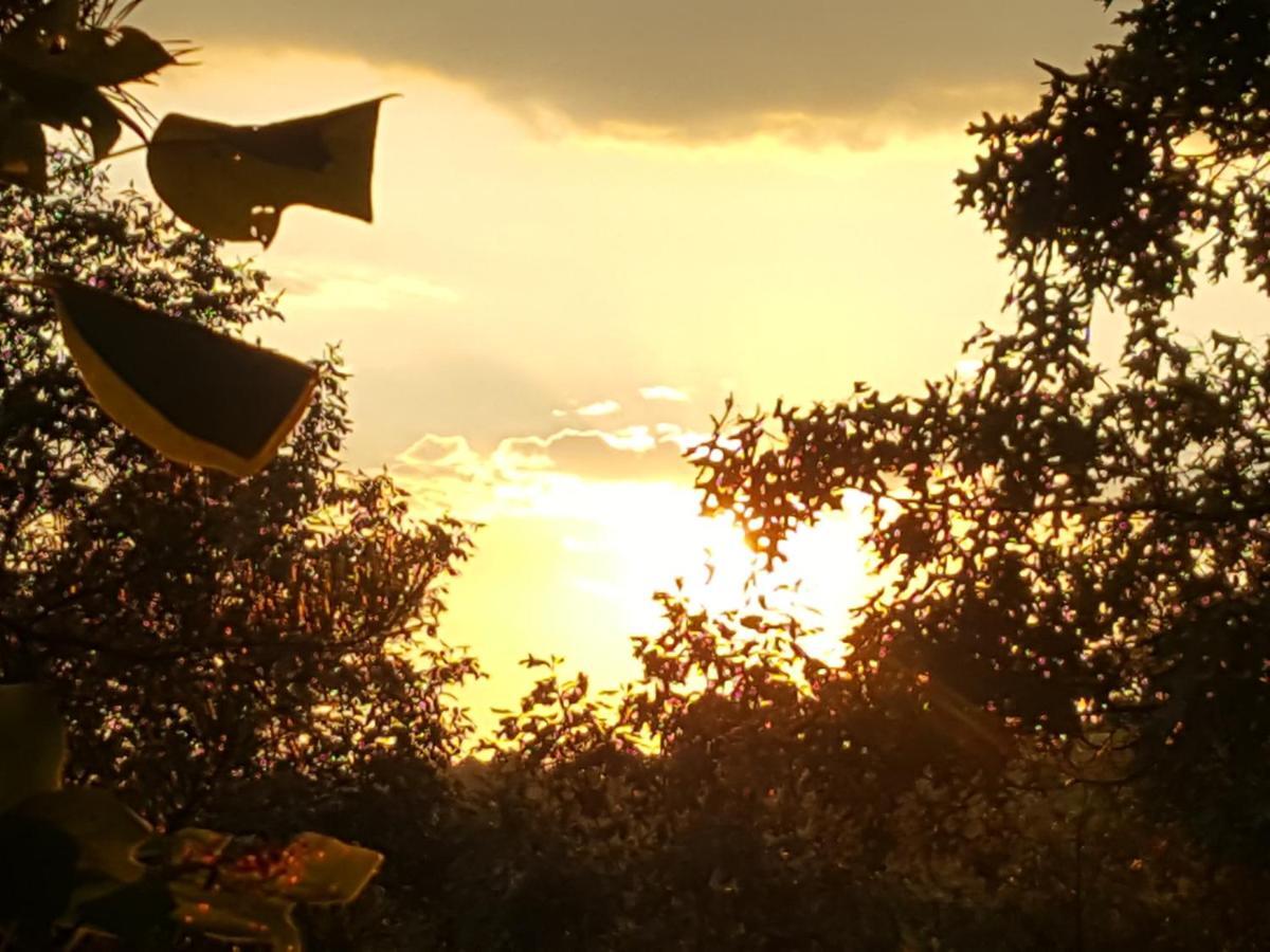 פיג'ן פורג' Sunset Ridge Cabin מראה חיצוני תמונה